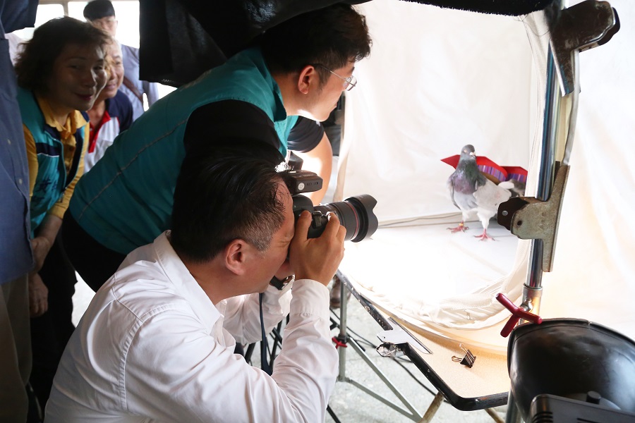 ▲嘉義縣長翁章梁化身攝影師，為義竹鴿笭王拍英挺沙龍照。(圖／嘉義縣政府提供）