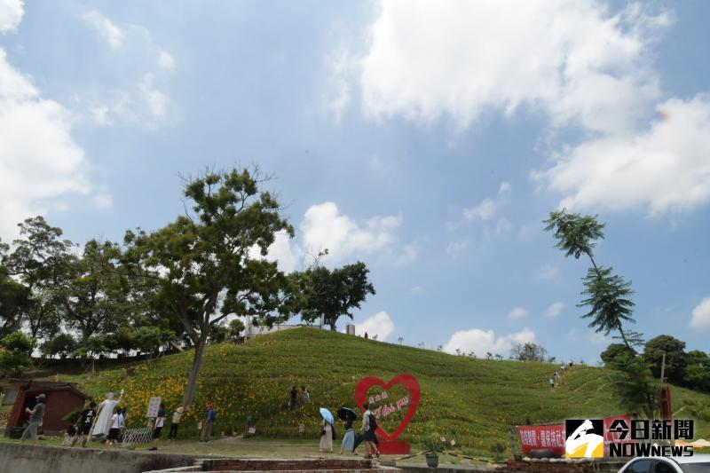 ▲花壇虎山巖金針花秘境黃澄澄花海好療癒，新住民發展協會特地選擇在花壇虎山巖舉辦感恩母親節活動。（圖／記者陳雅芳攝，2020.05.24）