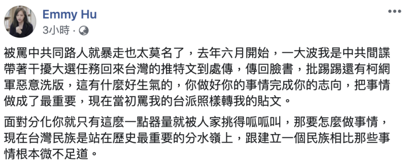 ▲胡采蘋臉書全文。(圖/翻攝自胡采蘋臉書)