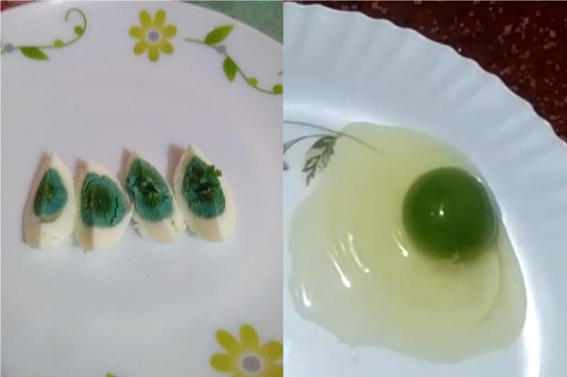 ▲印度一名雞農發現自家的雞會產下的蛋有著綠色蛋黃。（合成圖／翻攝Shihabudheen Ak臉書）