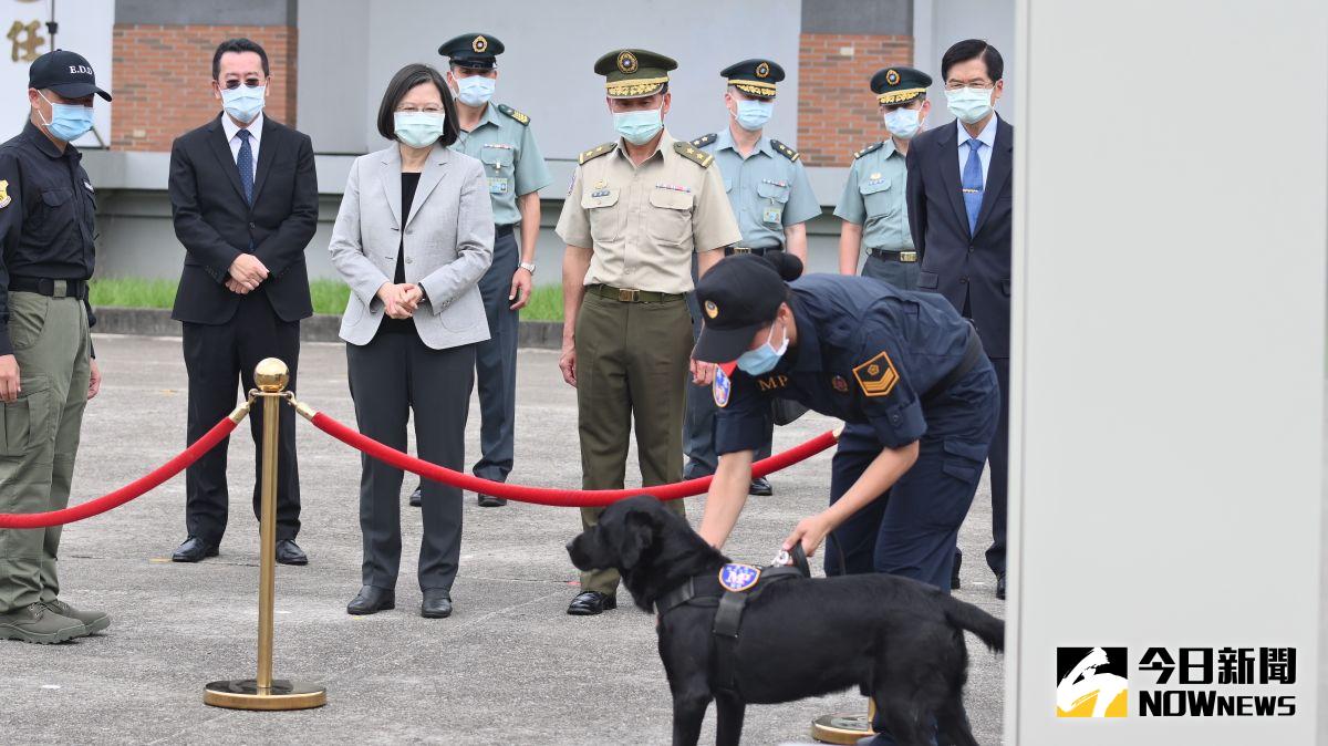 ▲蔡英文26日到憲指部視察，也親自與緝毒犬玩「你丟我撿」。（圖／記者林柏年攝 2020.05.26）