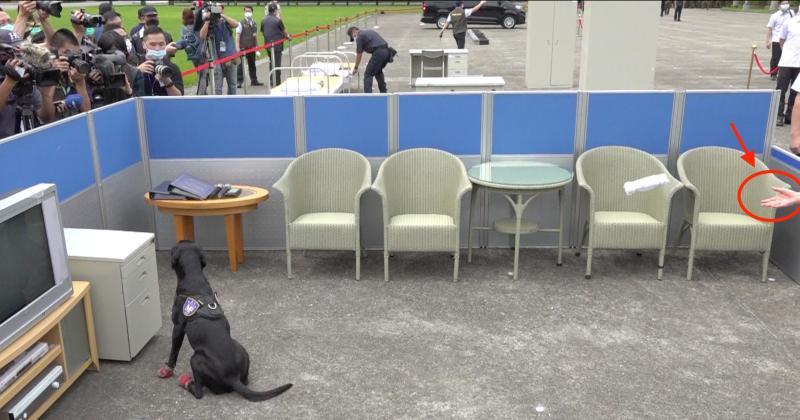 ▲蔡英文26日視察憲指部,與緝毒犬玩你丟我撿,獎勵緝毒犬成功找到毒品。(圖/記者陳明安攝