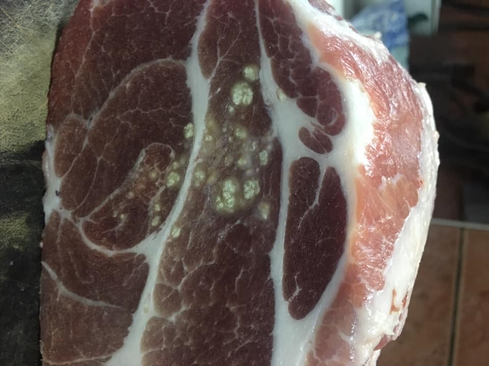 ▲有網友在臉書社團「爆系知識家」貼出照片分享，自己買的梅花豬肉片驚見黃色不明凸點，他並不解發問原因，釣出內行解答。（圖／爆系知識家）