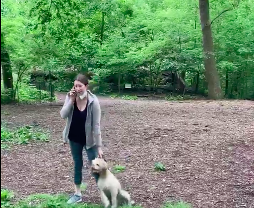 ▲一名白人女性因遛狗時未拴上狗鍊被非裔男性提醒，她卻抓狂報警自稱性命受到威脅。（圖／翻攝自Melody Cooper推特）