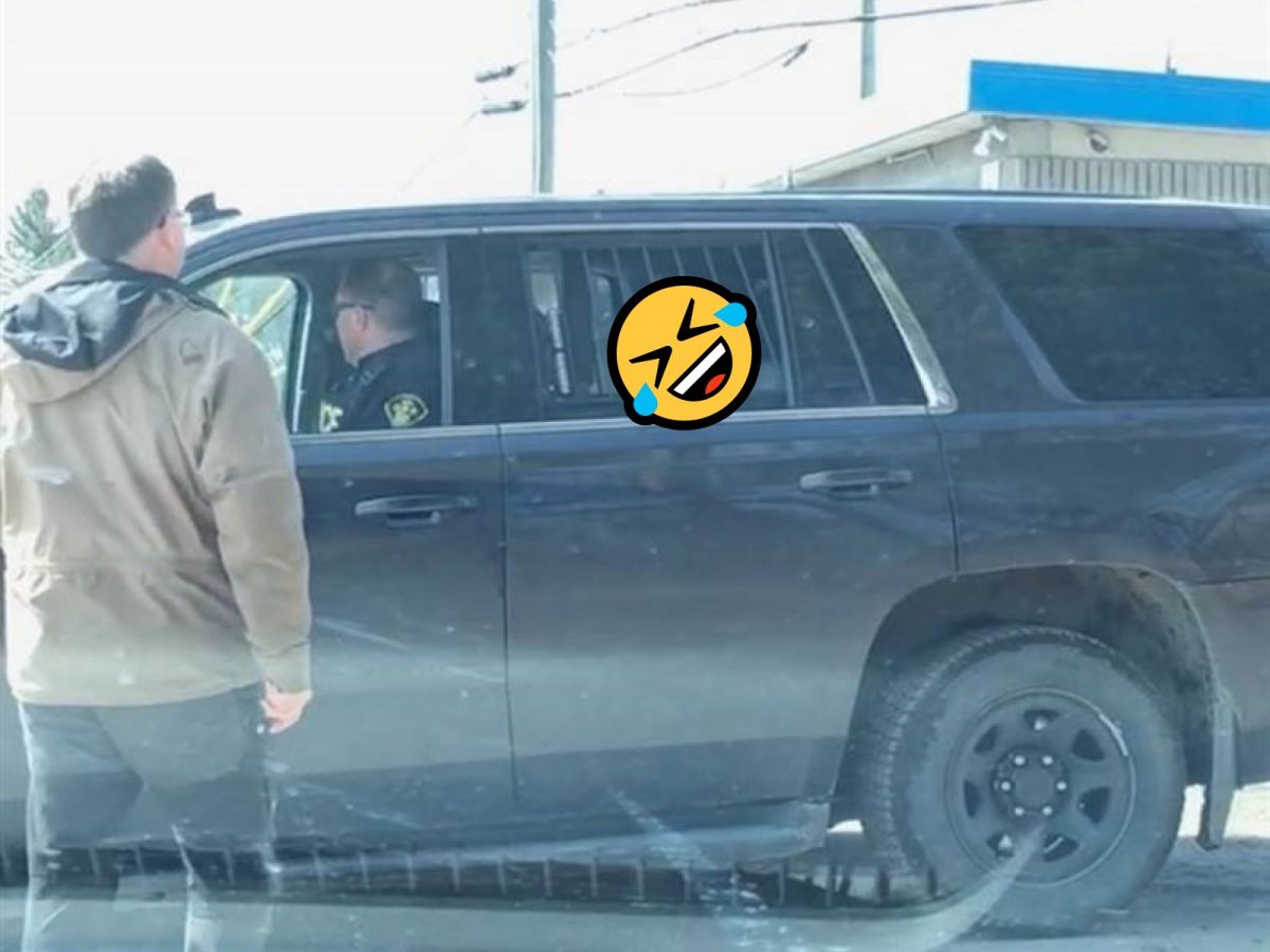 ▲加拿大一隻狗狗因為追鹿被警察「逮捕」（圖／twitter@emmethompsonn）