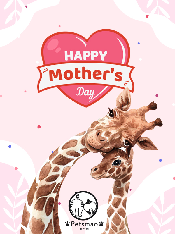 今天是母親節，祝全天下的媽媽母親節快樂～（圖／寵毛網製）