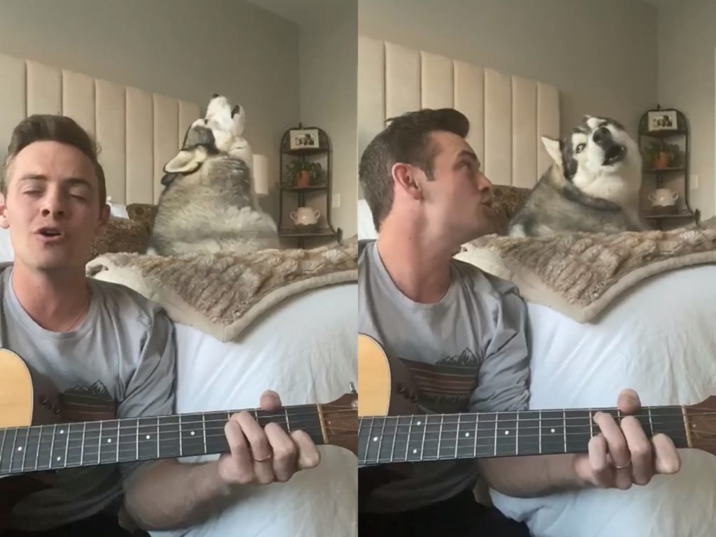 Kovu最後不忘回眸看向把拔，深情高歌收尾。（圖／IG@kovu.sings） 