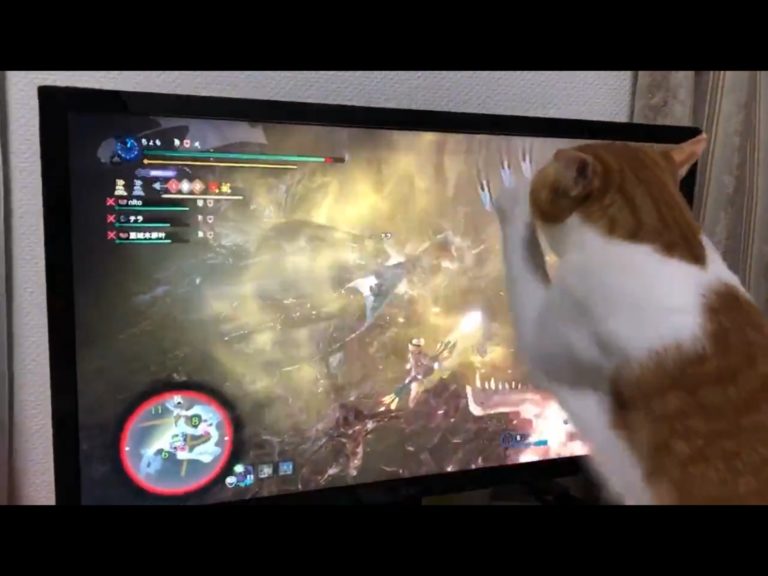 貓咪看到怪獸「忙助攻」　網笑崩：螢幕要死了！
