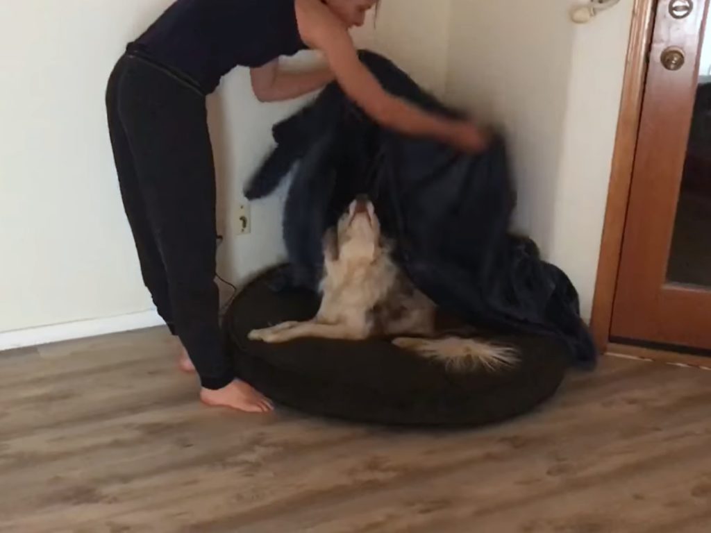 施特菲和Fusion感情很好，幾乎無時無刻都在一起，但只有一件事除外：睡覺。（圖／Steffi Trott） 