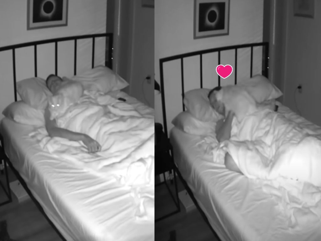 男子因為莫名胸悶頭痛而裝設監視器（圖／翻攝自Youtube@RegalPlatypus）