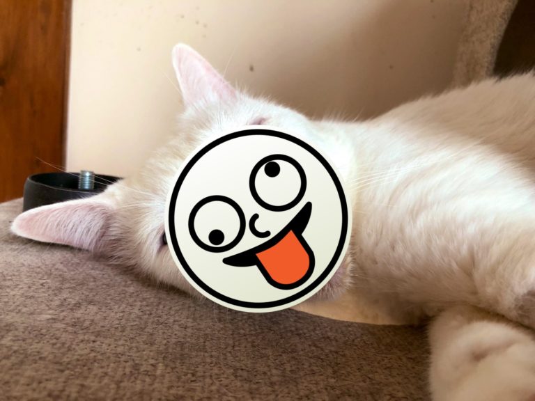 白貓都網美？日本貓主子睡到「一塌糊塗」霸氣外露！
