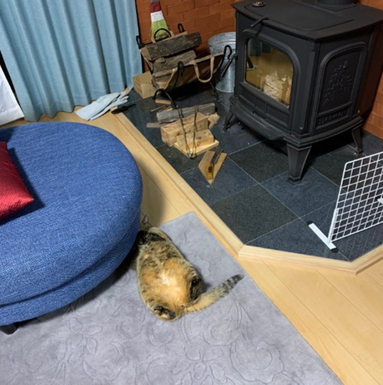 又是一隻被暖爐收服的貓（圖/Twitter@ZVRReV5PQk66JBx）