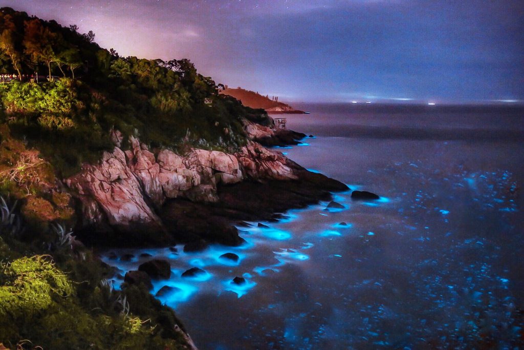 ▲馬祖藍眼淚。攝於55據點背包客棧瞭望台。｜Blue Tears, Matsu Islands. View from No. 55 Hostel’s lookout. (Courtesy of @zian_taiwan/Instagram)