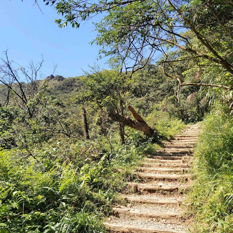 ▲聖母峰登山口一路陡上階梯步道，是「朝聖」所必須付出的代價。| Climbing all the way up the stairs to Sacred Mother Peak is the price that “pilgrims” must pay.（Courtesy of Elisha Liao)