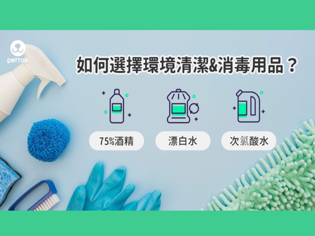 （圖／PetTalk提供）