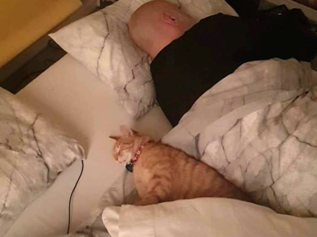 鄰居橘貓每天溜進家門陪睡整晚　男子：其實我才是寵物！
