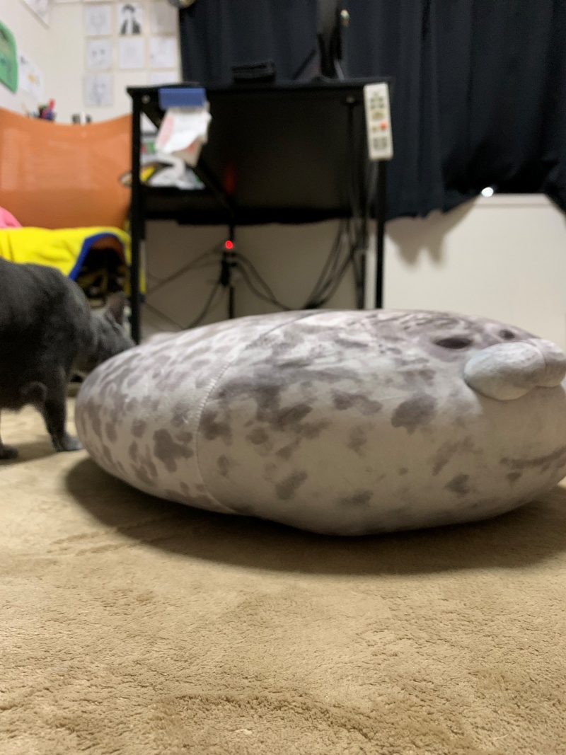 不知不覺間，推主有天回頭一看，海豹抱枕就變成了這樣。（圖／Twitter@yoshidaterukazu）