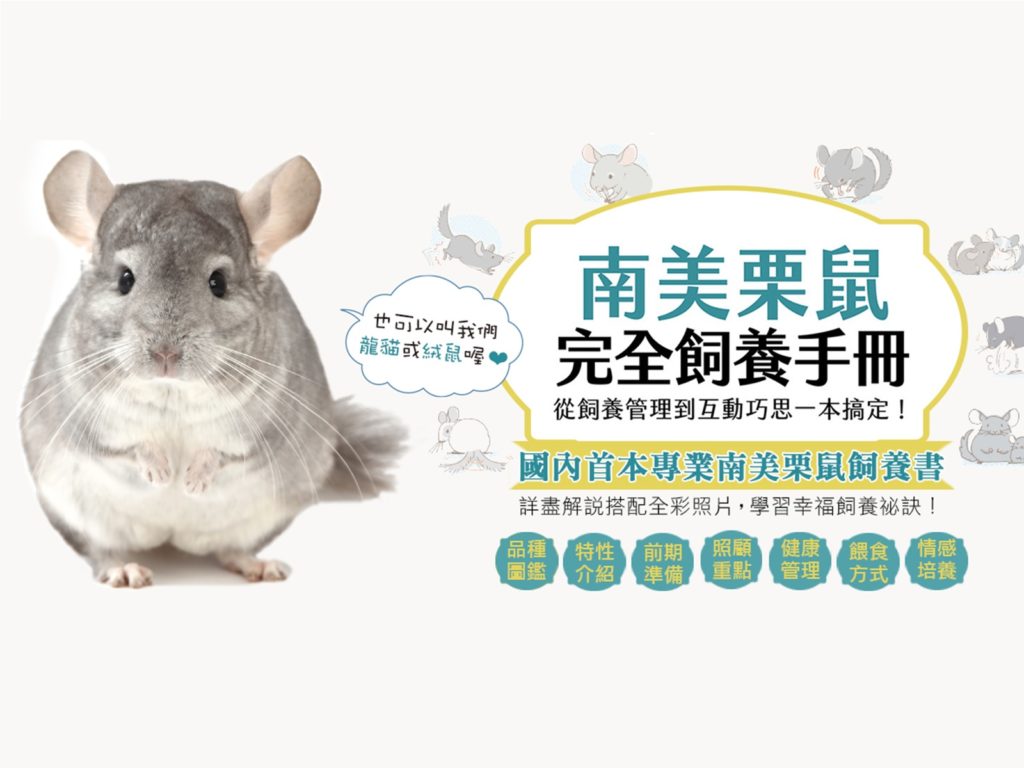 擁有思考能力與愛人之心　風靡萬人新萌寵「龍貓」登場！