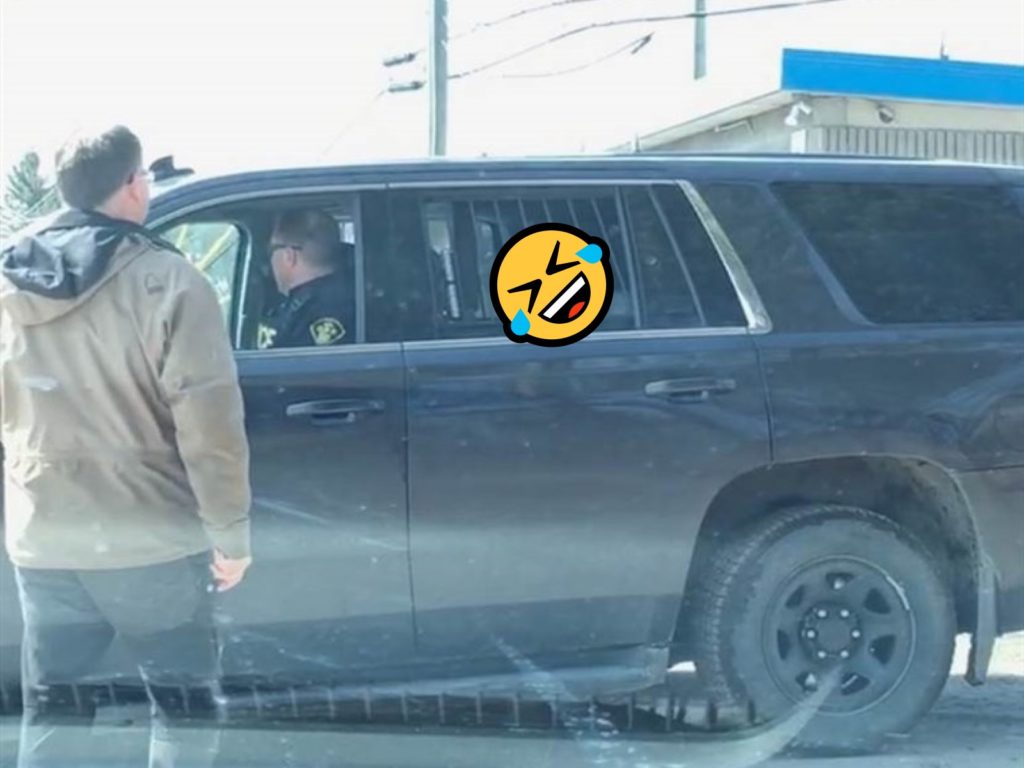 加拿大一隻狗狗因為追鹿被警察「逮捕」（圖／twitter@emmethompsonn）