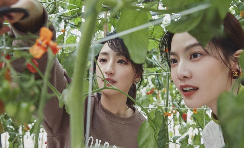 ▲曾之喬與柯佳嬿。（圖／取自曾之喬臉書）