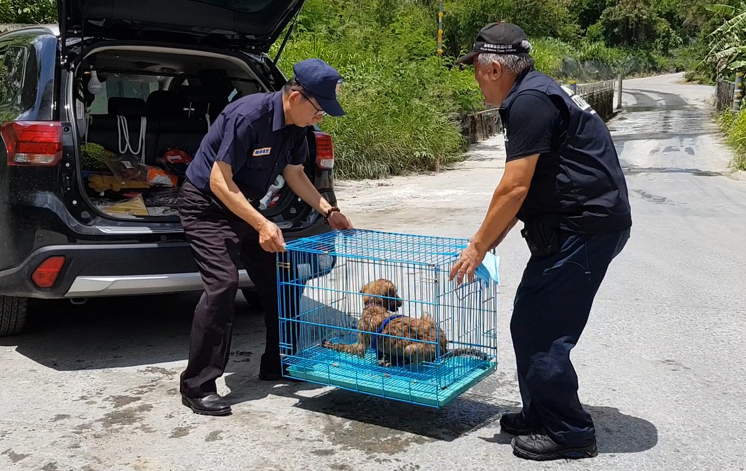 經6個多小時總算找到受傷的狗（圖／台灣動物緊急救援小組提供）