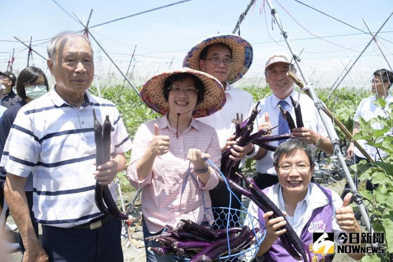 ▲二水鄉濁水溪上游，水源豐富含大量的礦物質，土壤相當肥沃是最適合麻糬茄子生長種植的地區，麻糬茄因口感Q軟像麻糬而得名。（圖／記者陳雅芳攝，2020.06.01）