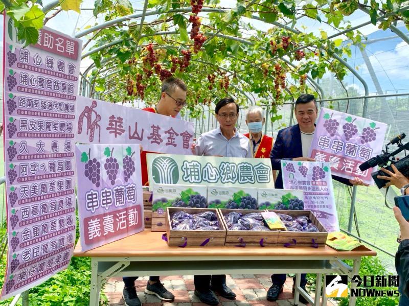 ▲埔心鄉農會號召鄉內優質的葡萄果園捐助200箱葡萄給華山基金會埔心站進行網路義賣。(圖/記者陳雅芳攝,2020.06.01)
