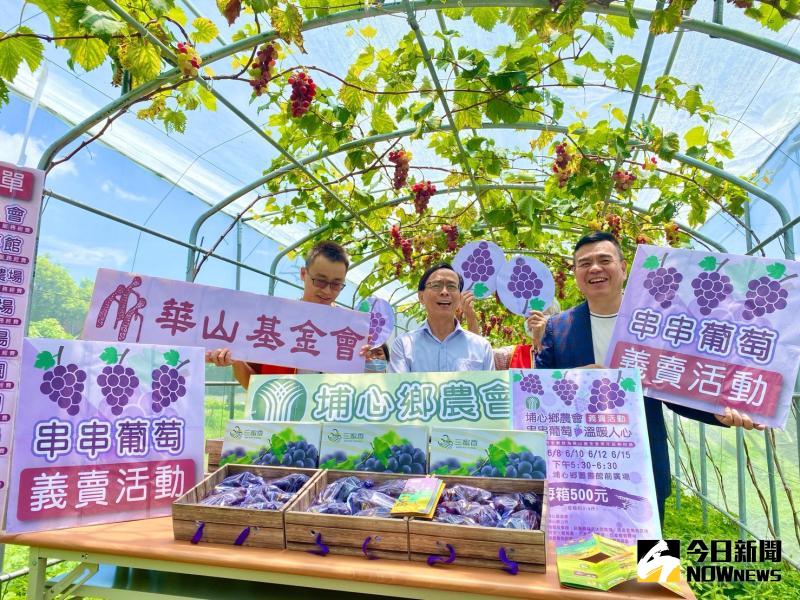 影/愛老人 埔心鄉農會串串葡萄溫暖人心