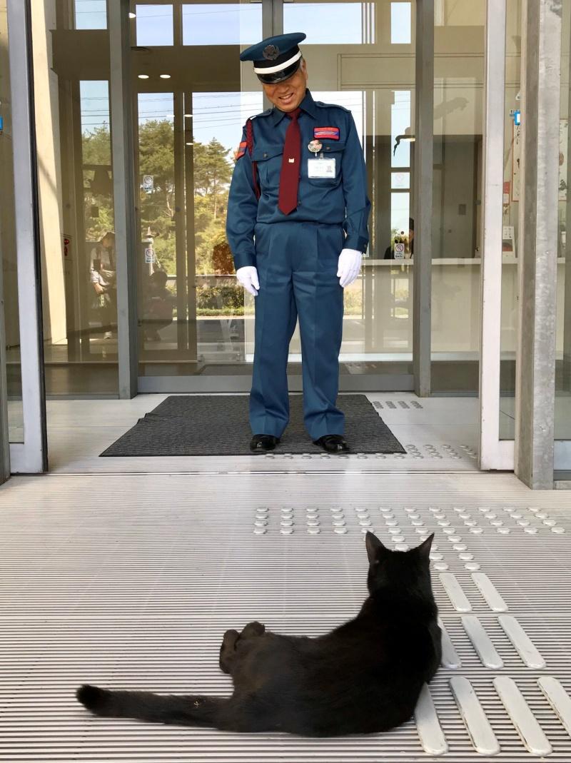 ▲警衛北北你也笑得太開勳啦~(圖/Twitter@bijutsu1)