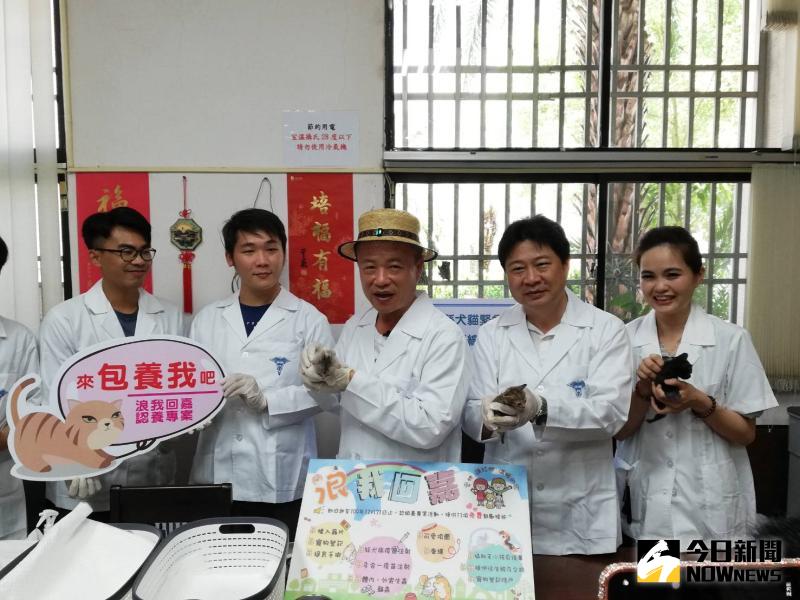 ▲為鼓勵民眾認領養流浪犬貓與宣導尊重生命,縣府推出「浪我回嘉」專案活動。(圖/記者邱嘉琪攝,2020.06.04)