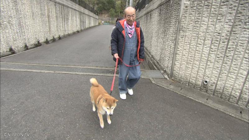 ▲志村健非常喜愛動物。(圖/國興衛視)