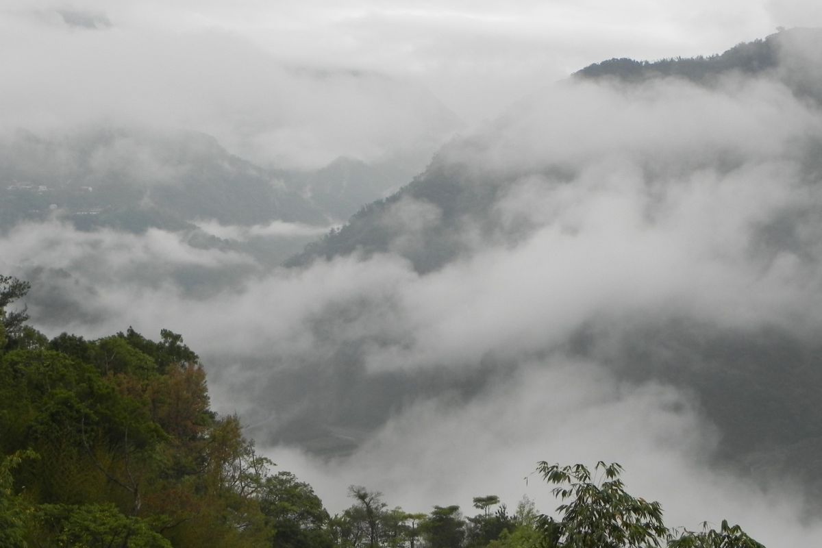 ▲覽賞雲林草嶺茶山有如國畫般的美景，還可免費品嚐古坑在地的美味咖啡。（圖／記者簡勇鵬攝，2020.06.05）