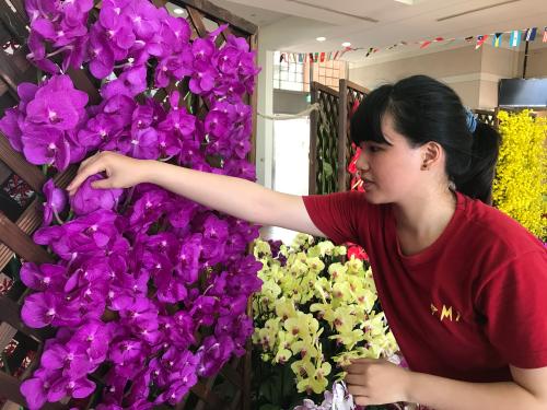 Taiwan’s orchid industry weathers Trump's tariff storm