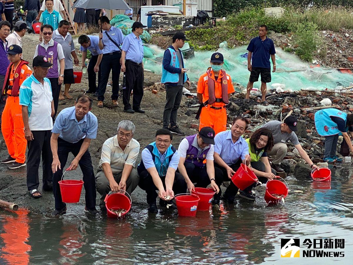 ▲彰化區漁會於彰濱工業區鹿港水道泊地海域放流俗稱「枋頭」的黃錫鯛魚苗，透過種苗之加入，讓海洋資源可以復育的更好。（圖／記者陳雅芳攝，2020.06.08）