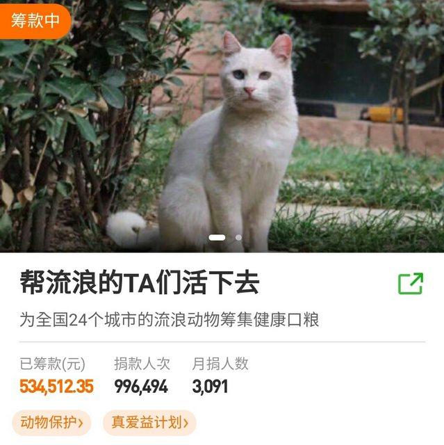 ▲相較之下,流浪貓狗的募款活動金額超出WHO發起的