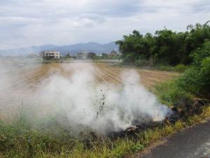禁露天燃燒稻草　環保署：不會造成稻作病蟲害加劇
