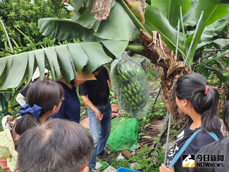 ▲創路學園應榮家住民徐景堂之邀,參訪藉由分享農作之經驗,帶領中輟生體會「一分耕耘、一分收獲」。(圖/記者陳雅芳攝,2020.06.12)