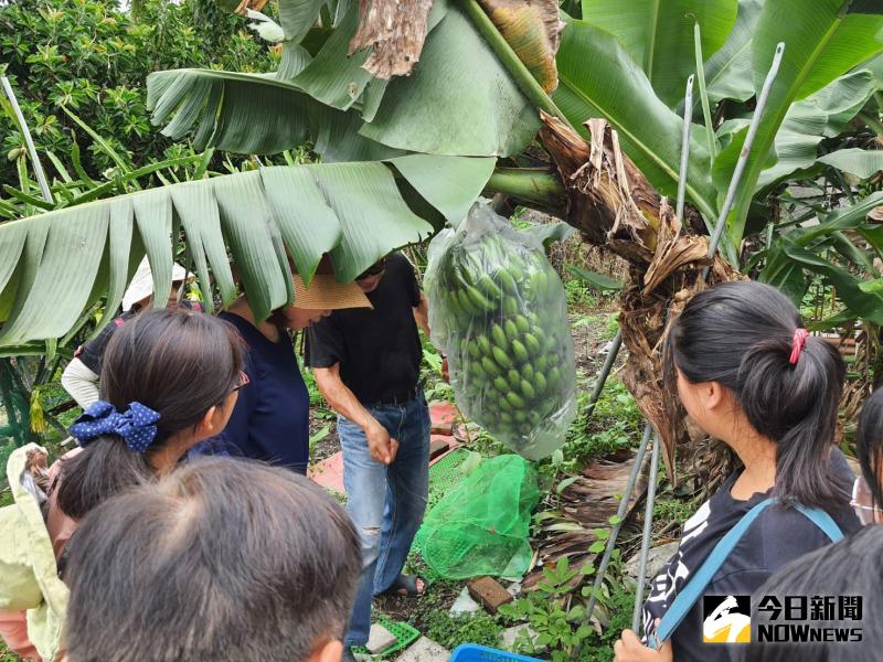 ▲創路學園應榮家住民徐景堂之邀，參訪藉由分享農作之經驗，帶領中輟生體會「一分耕耘、一分收獲」。（圖／記者陳雅芳攝，2020.06.12）