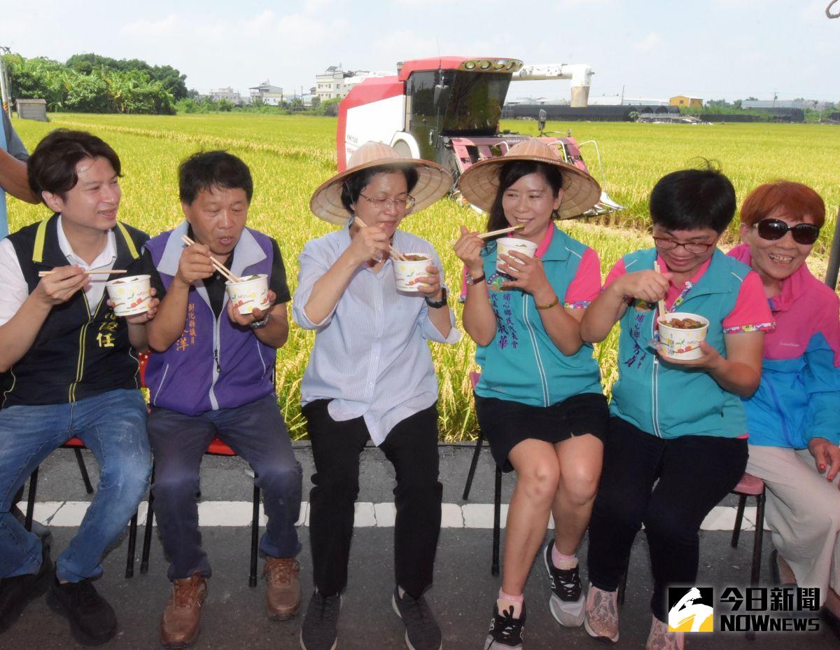 ▲彰化縣長王惠美等多人坐田埂吃割稻飯回憶兒時樂趣。（圖／記者陳雅芳攝，2020.06.13）