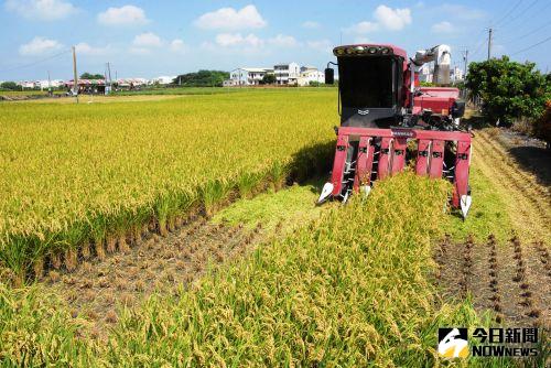 「小滿」節氣要來了！由來含義、開運禁忌先收　把握這天運勢暴漲
