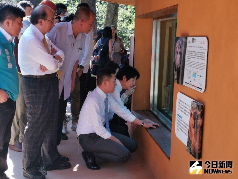 ▲副總統賴清德前往新竹動物園參觀，他說，動物園整修後，變得寬敞又新穎，逛起來輕鬆自在。(圖/記者金祐妤攝,109.6.16）