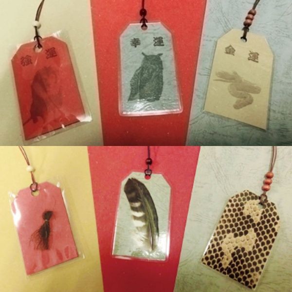 ▲3入開運御守組(內有獅子毛、貓頭鷹羽毛、蛇蛻皮)(圖/campfire@ノースサファリサッポロ)