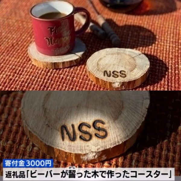 ▲木頭杯墊(被河狸咬過的)(圖/campfire@ノースサファリサッポロ、電視截圖)