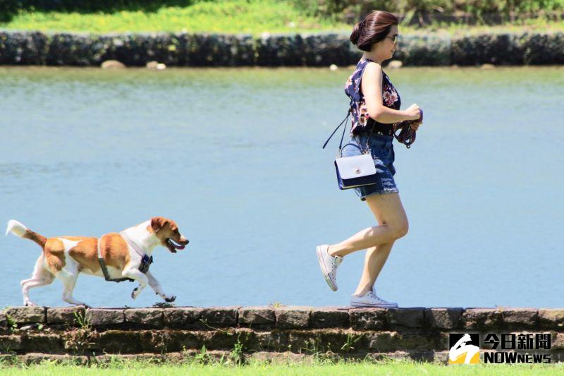 ▲業者串連寵物友善巴士、景點等，讓旅客可以跟毛小孩一起安心出遊。（圖／記者陳致宇攝）