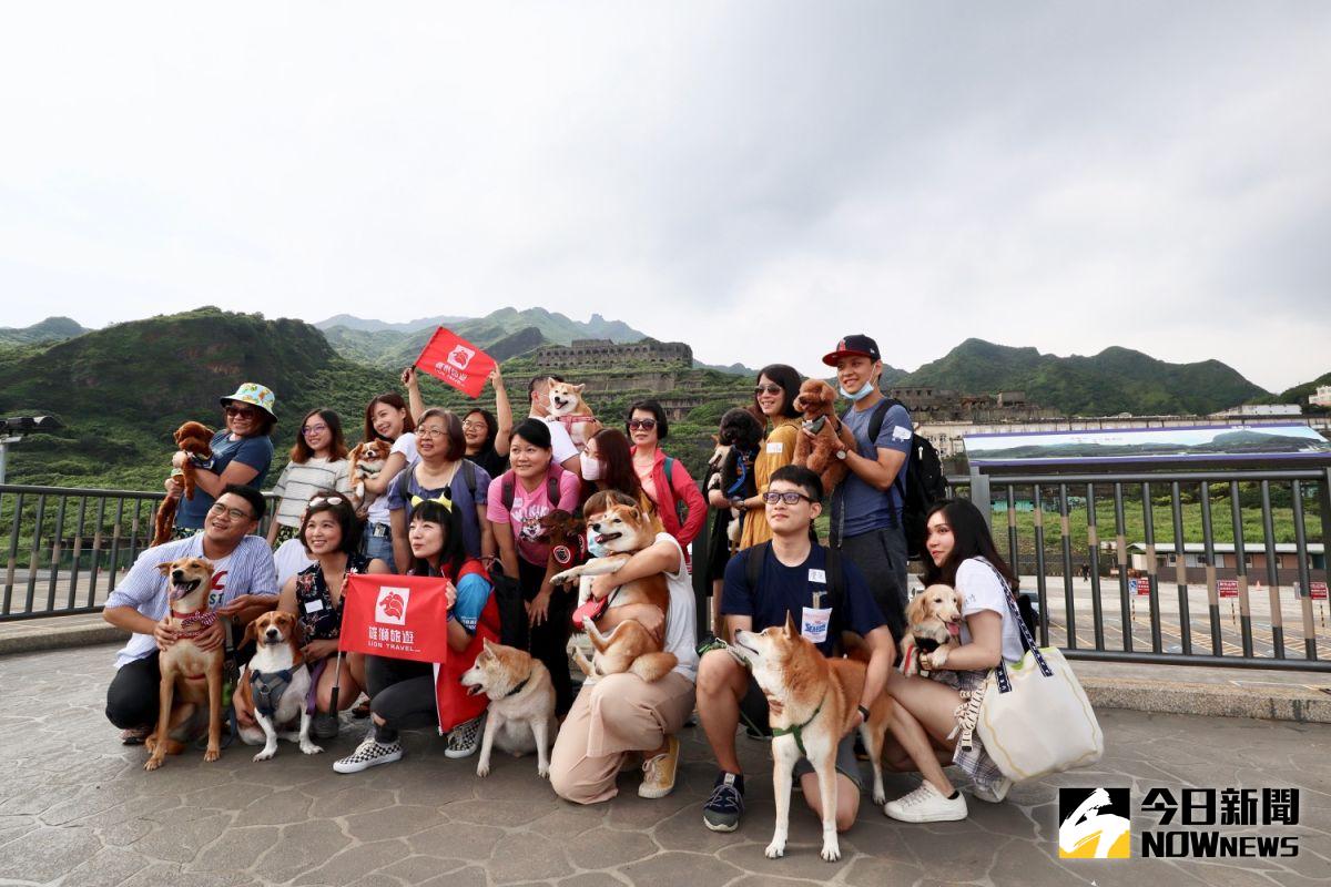 ▲搶攻毛商機，旅行社業者推出寵物旅行團，串連寵物友善巴士、餐廳、景點、旅宿等，推出後詢問度增加不少。（圖／記者陳致宇攝）