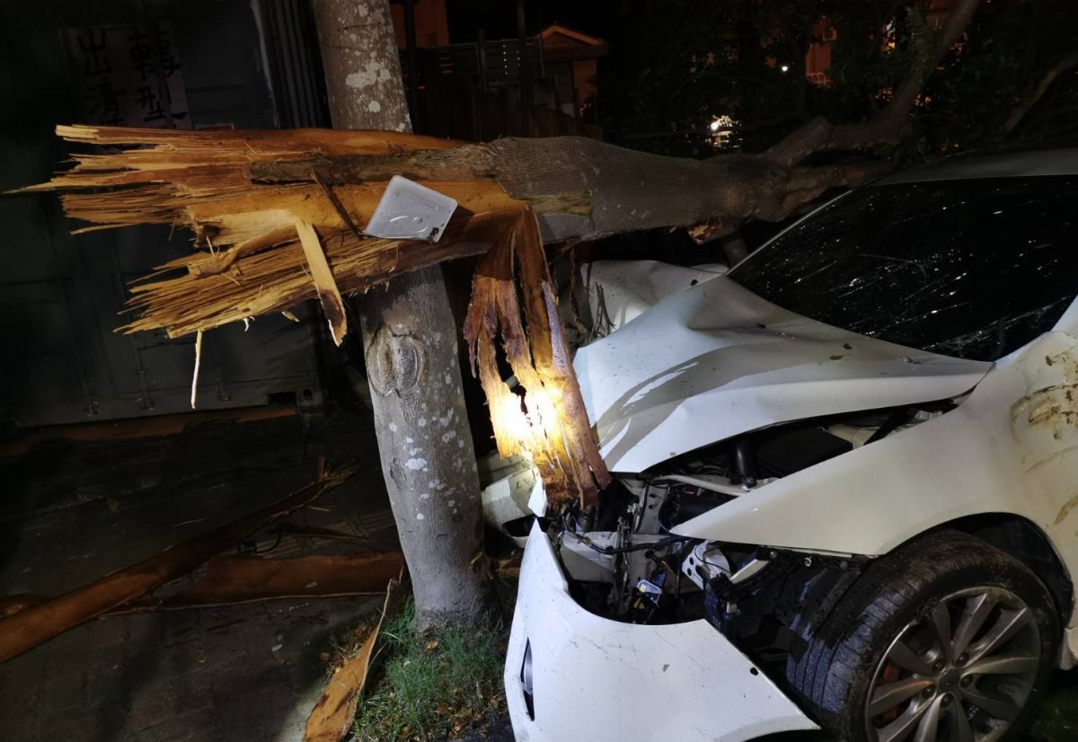 ▲蔡男受驚嚇，趕緊逃離現場，卻自撞路旁樹木。（圖／記者陳聖璋翻攝）