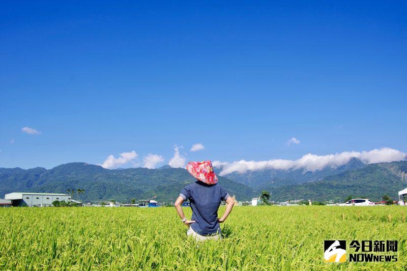 安心旅遊加碼16億預算交通部 努力讓補助如期完成 生活 Nownews今日新聞 安心旅遊加碼16億預算交通部 努力讓補助如期完成 生活 Nownews今日新聞