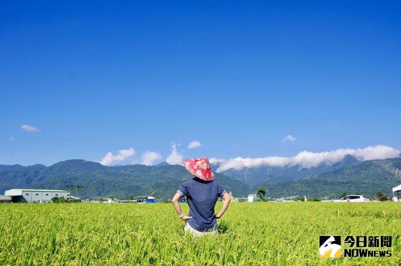 ▲國旅補助經費恐在9月就提前用罄，旅行公會全聯會向行政院喊話，盼能增列預算完成補助工作，協助業者共同撐過疫情難關。（圖／NOWnews資料照，記者陳致宇攝）