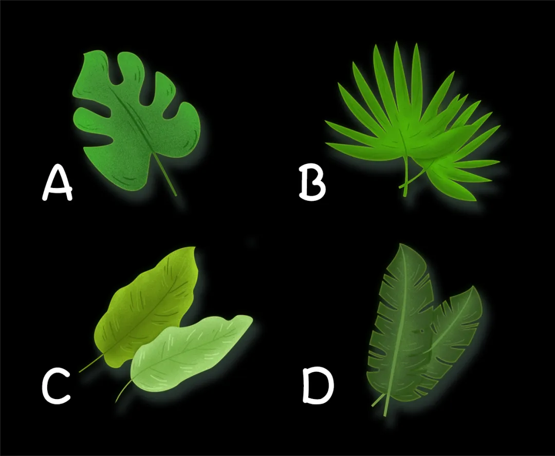 ▲直覺選出一株幸運草，揭曉你的「夏日戀曲」桃花運。（圖／翻攝自蓋婭星球）