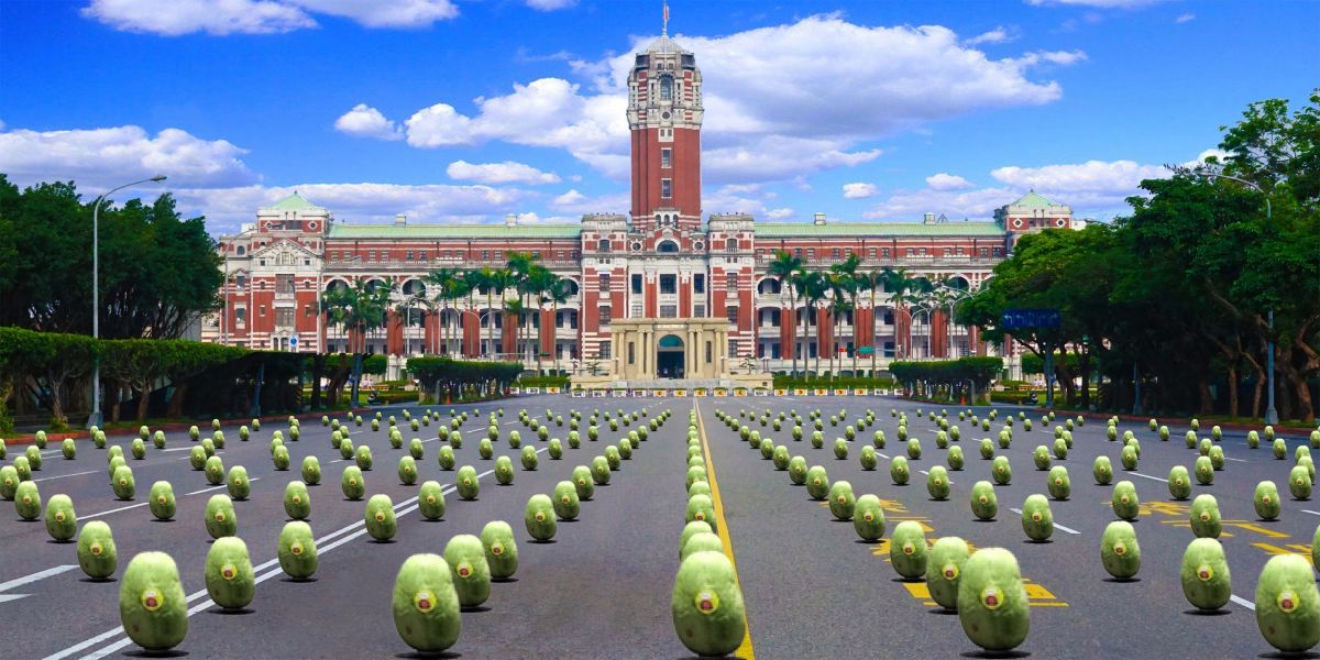 ▲千人凱道立西瓜示意圖。（圖／農委會提供）